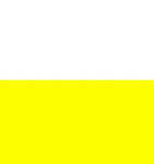 101111 - BLANCO/AMARILLO