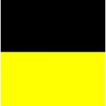 001111 - NEGROAMARILLO