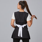 CASULLA BICOLOR ASTER