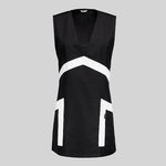 CASULLA BICOLOR ASTER