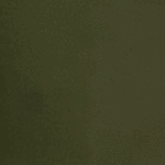 599 - SARGA POL. CAQUI